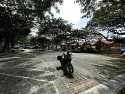 lavender-street photo thumbnail #2